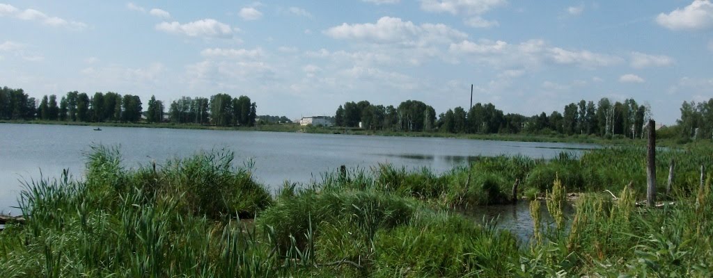 Орлово