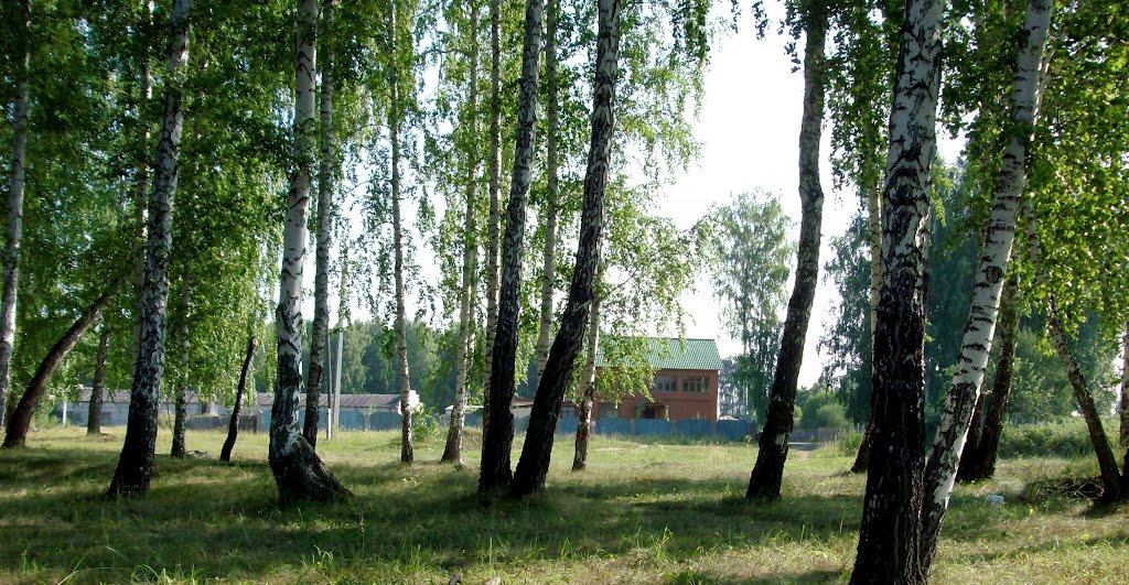 Роща