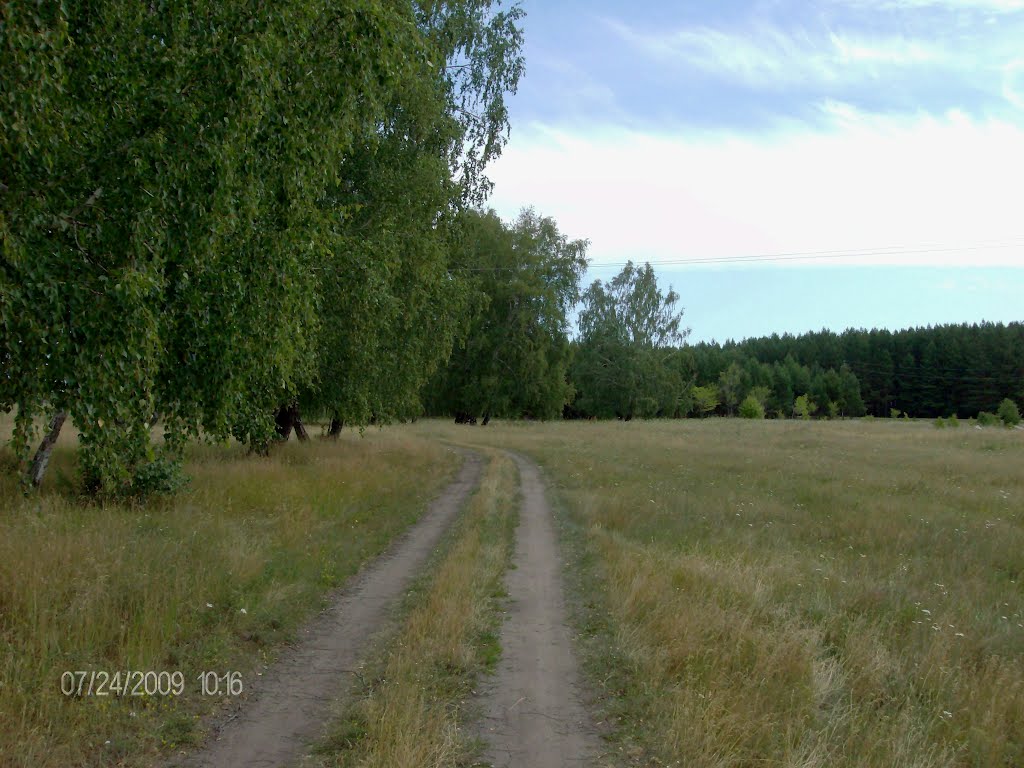 За околицей
