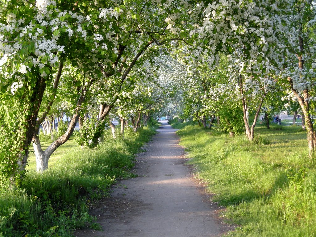 Аллея