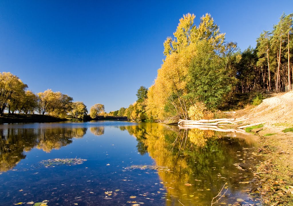 Осень на реке