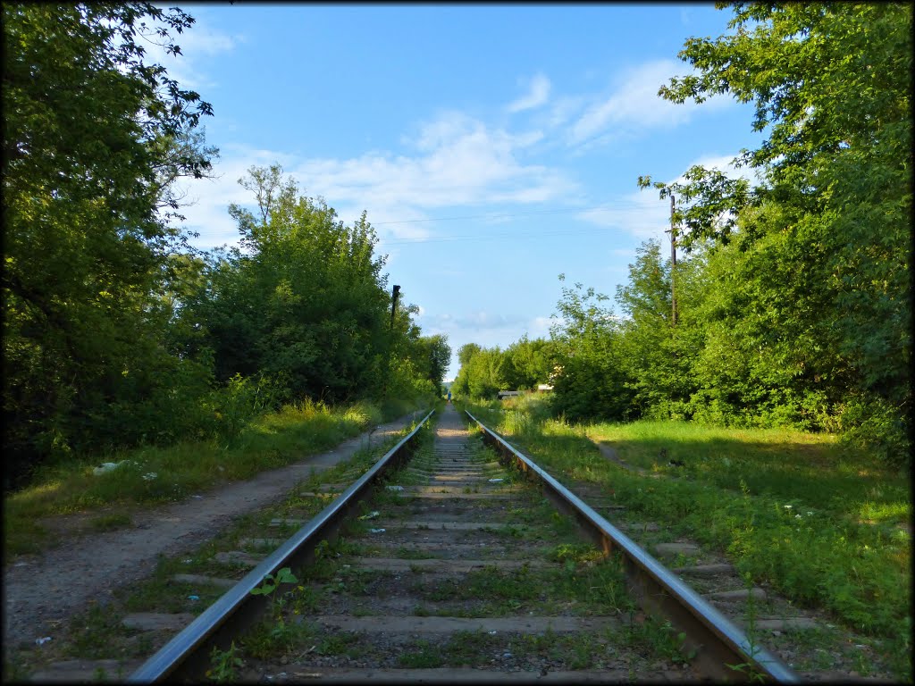 Колея