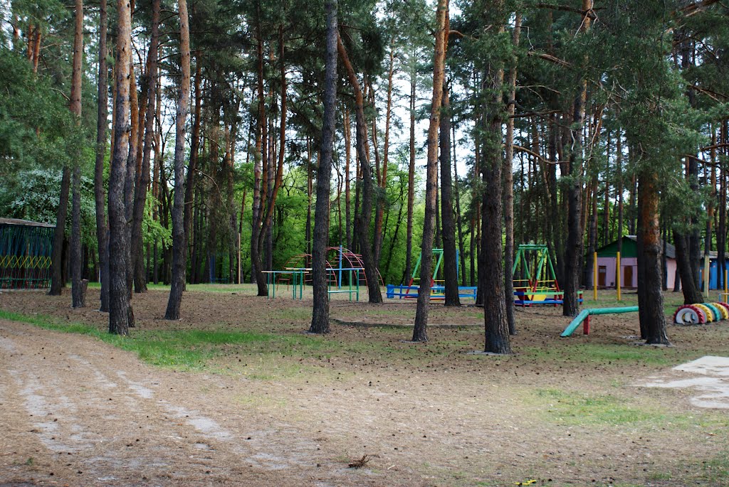 лагерь имени Гагарина