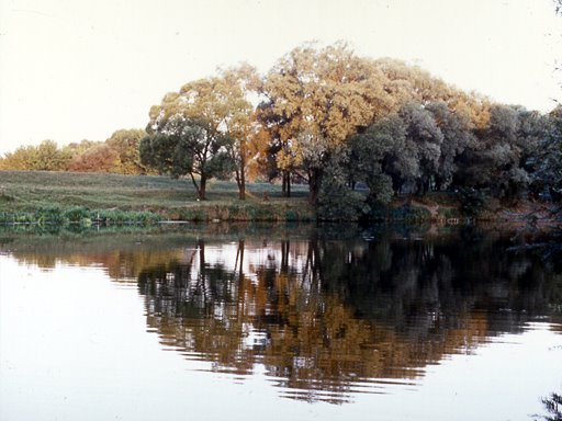 Kursk