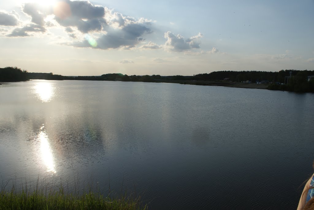 Сейм