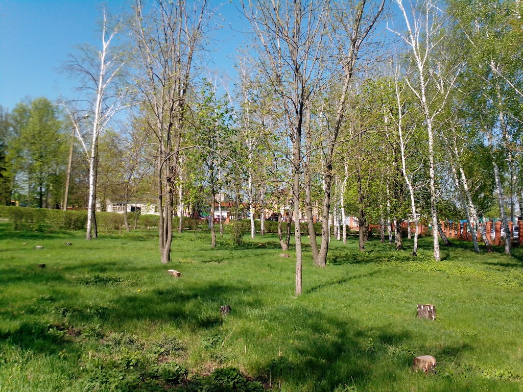 Белая, Курская область, Россия