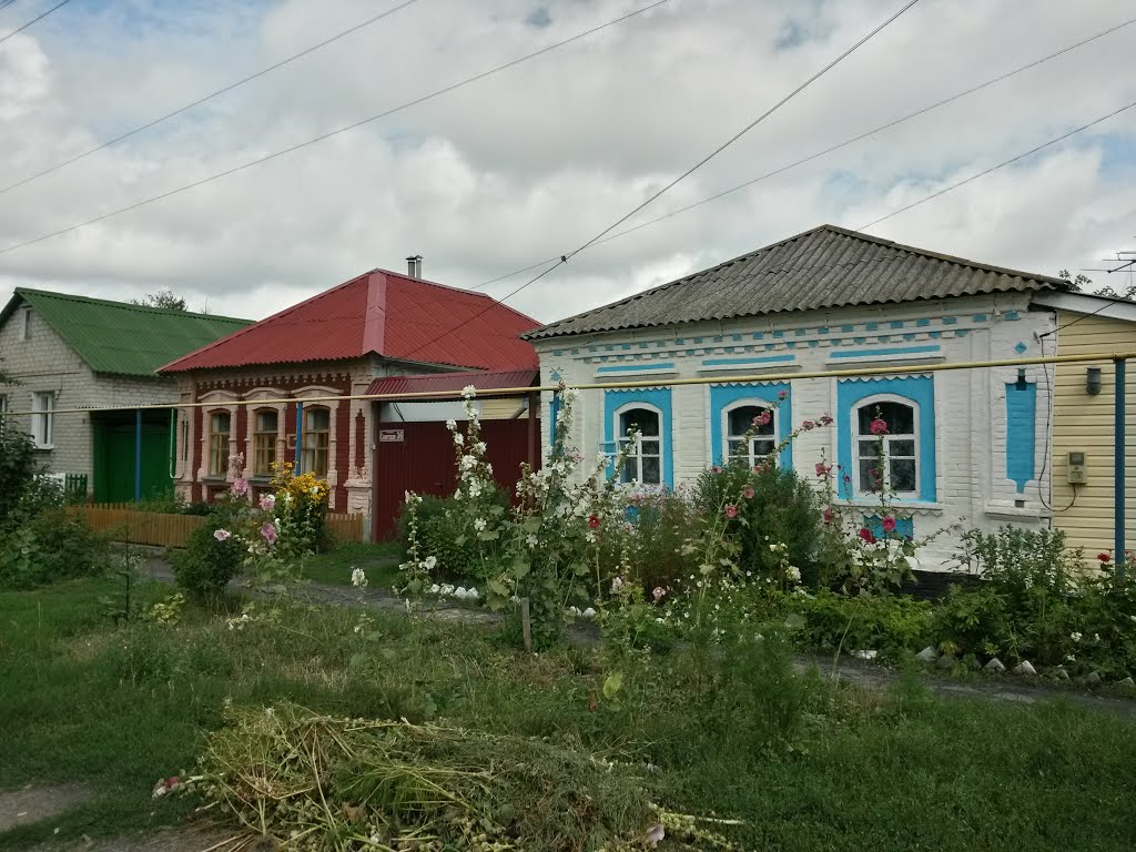 Белая, Курская область, Россия