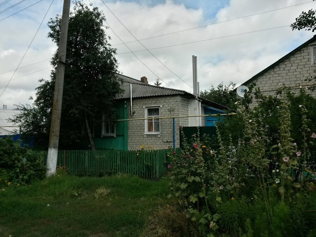 Belaya