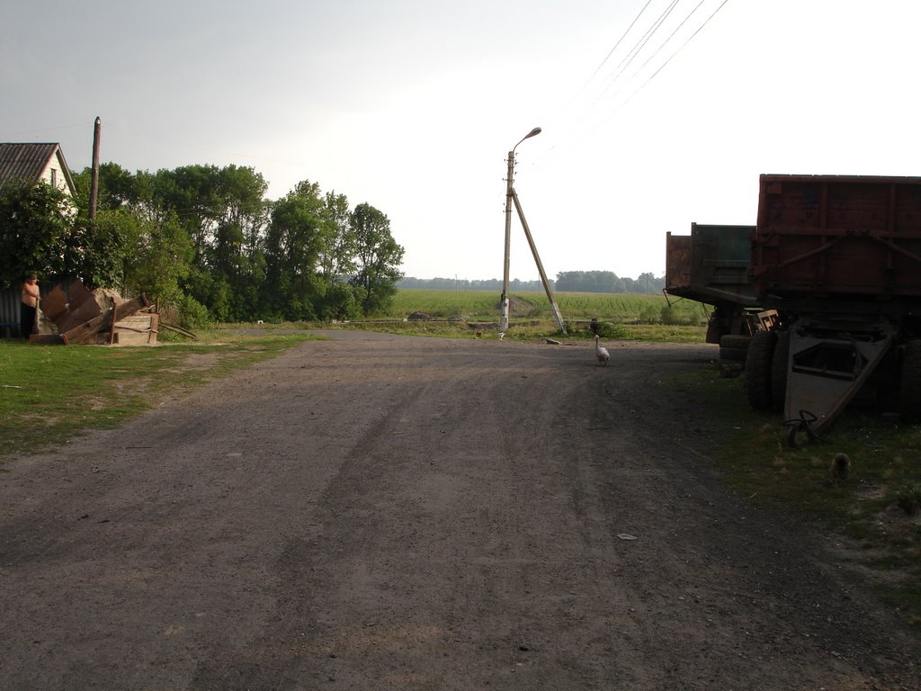 Glushkovo