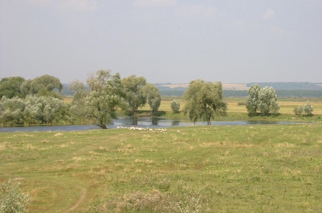 Луг за Глушково