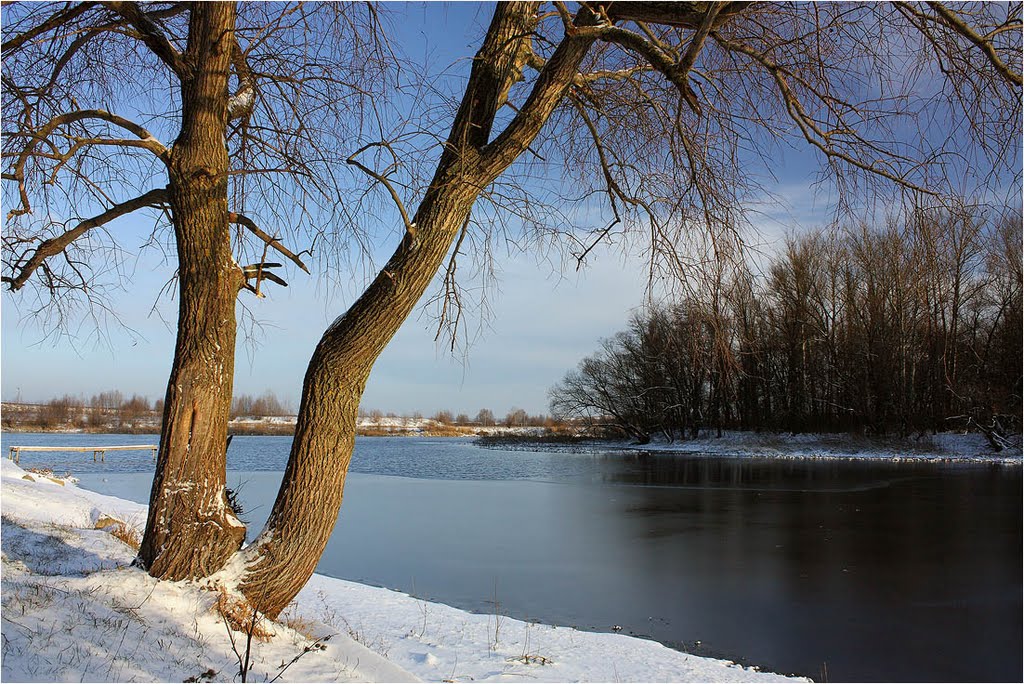 В парке п. Глушково. Первый снег