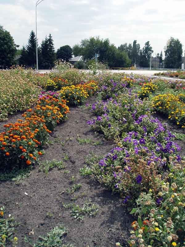 Flower bad of bus station in Gorshechnoye