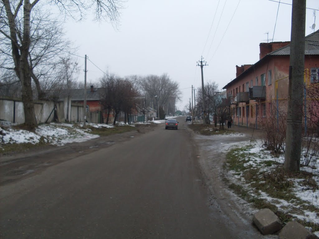 Volodarskii street