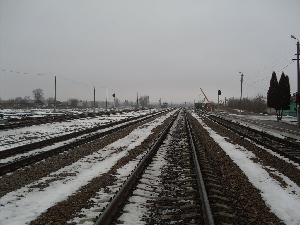 to Bryansk
