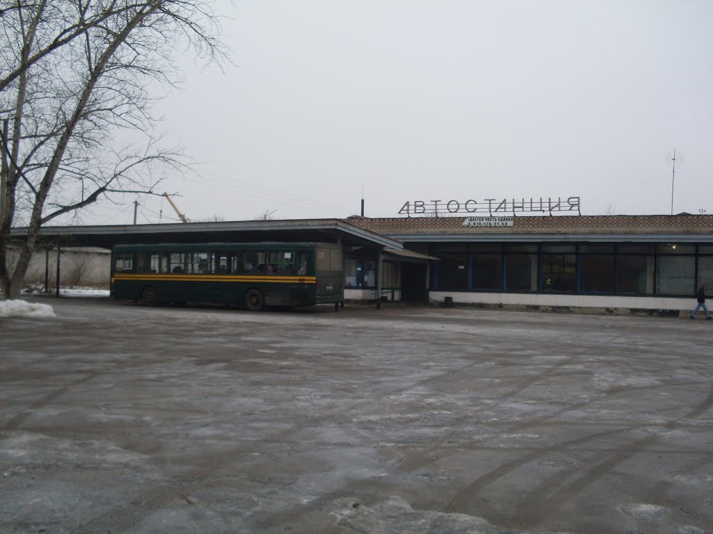 Bus