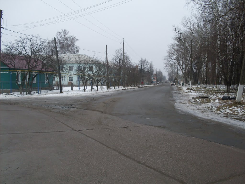 Volodarskii street