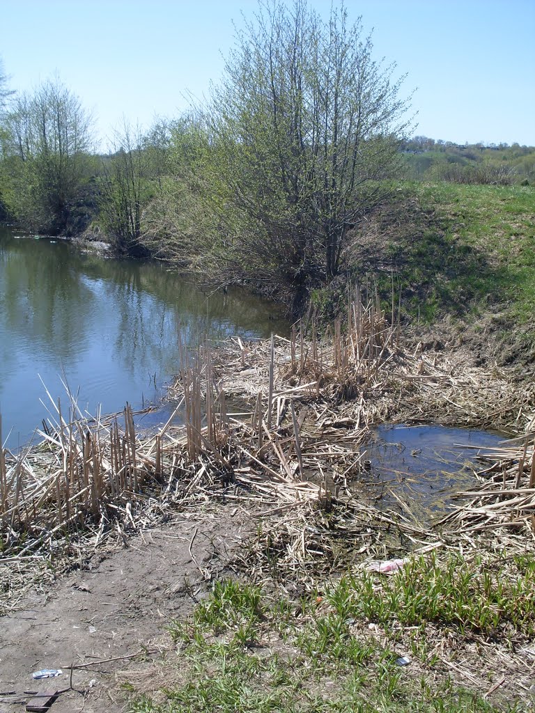 r.Svapa April