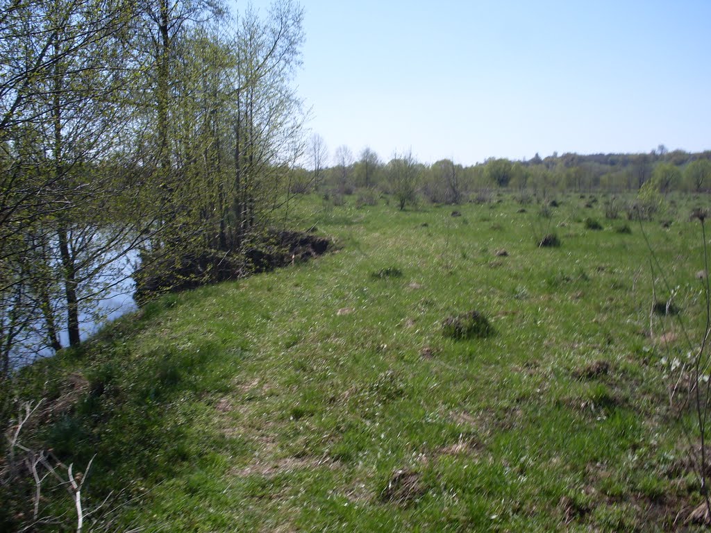 r.Svapa April
