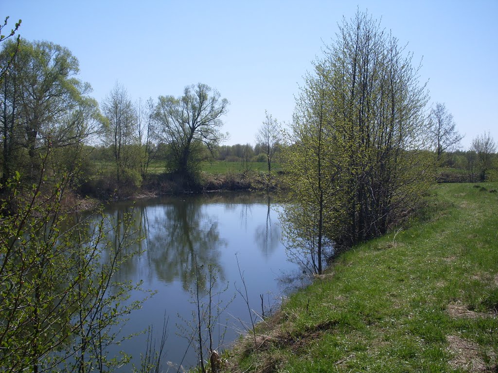 r.Svapa April