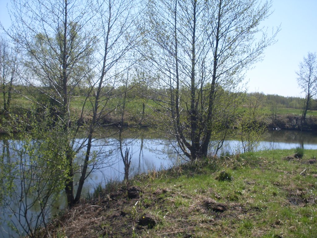 r.Svapa April