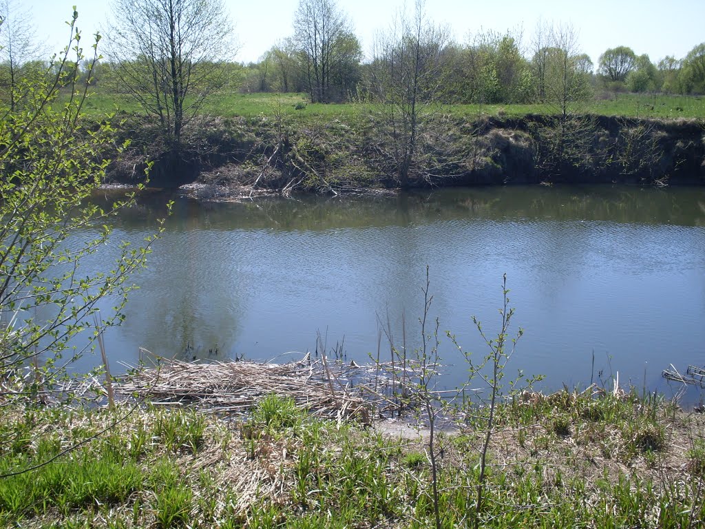 r.Svapa April
