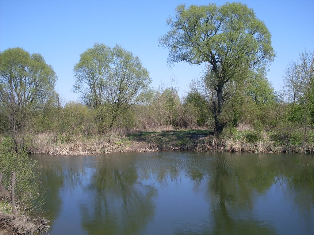 r.Svapa April