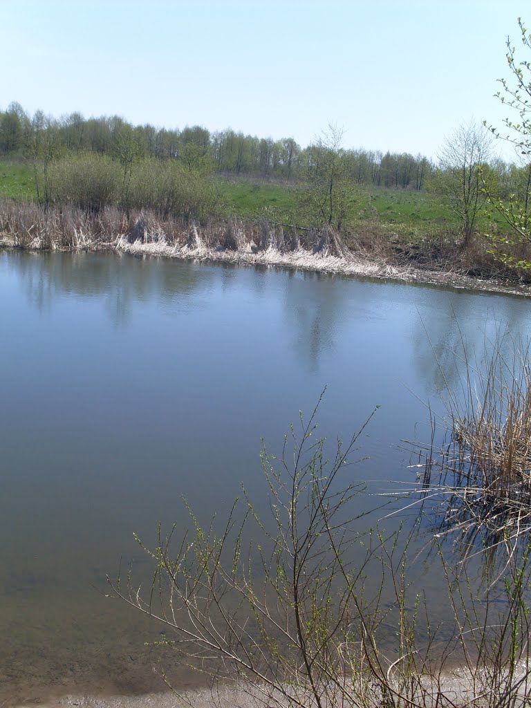 r.Svapa April