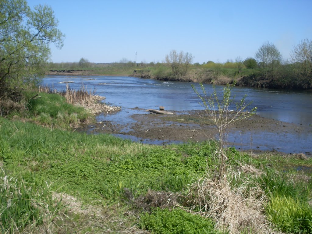 r.Svapa apreel