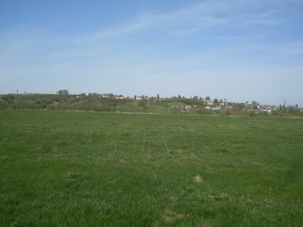 meadow