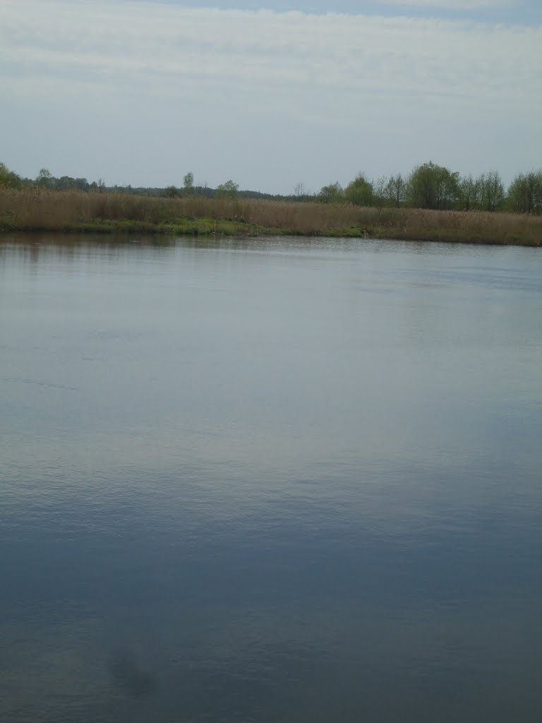 Lake "barge"
