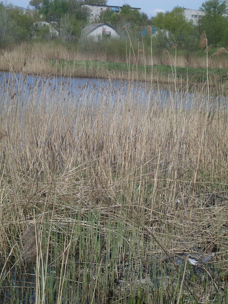 Lake "barge"