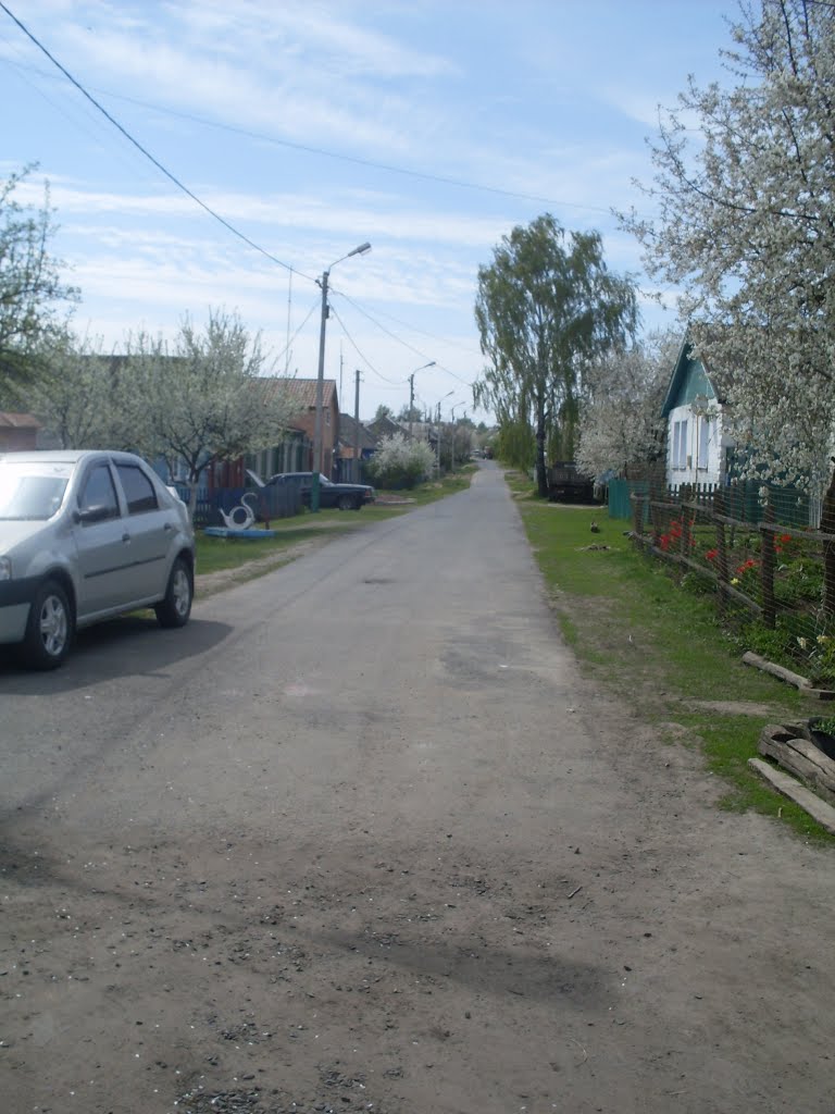 street Radyshcheva