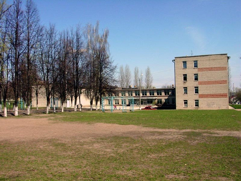 School Number 5