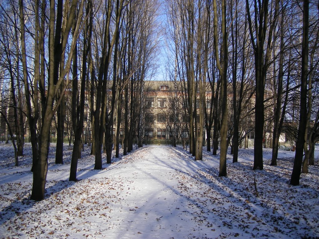 Школа № 1 п. Касторное