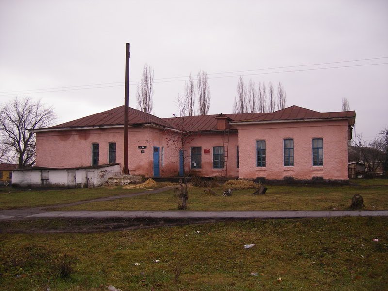 Библиотека п. Касторное