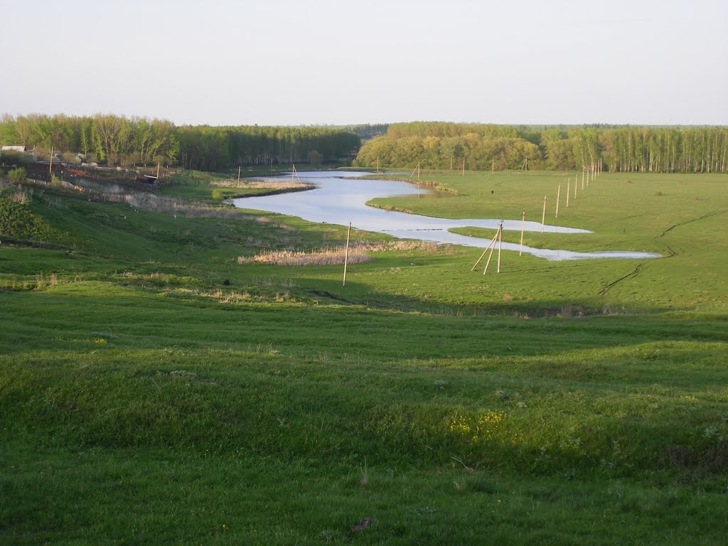 Озеро старица р. Олым, Лука