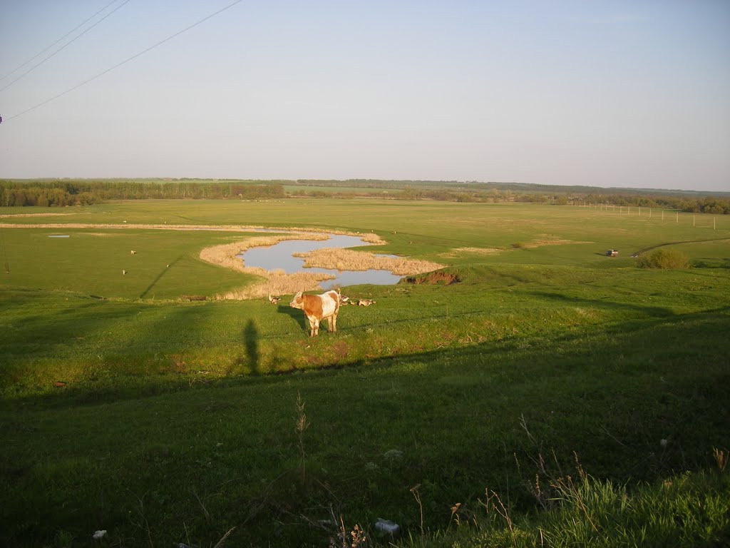 Лука, п. Касторное