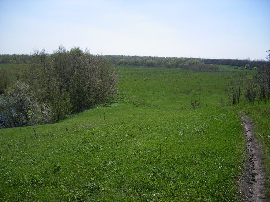 Жмыркина круча, р. Олым