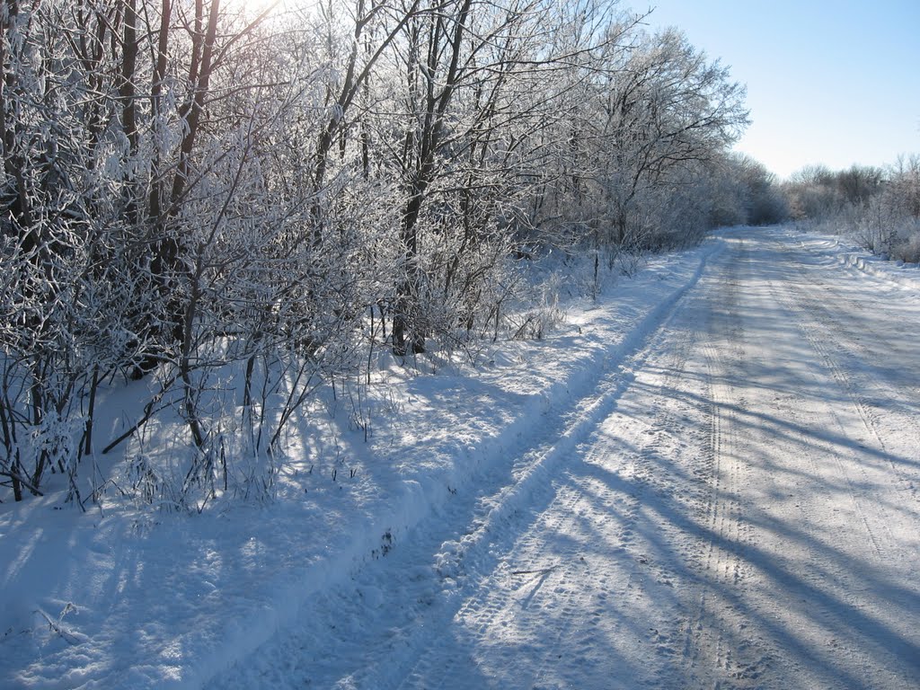 Зимняя дорожка Январь 2011