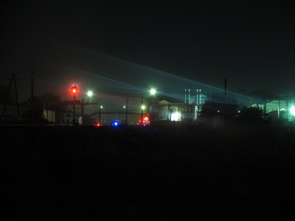 Станция Коренево. Ночь. (Korenevo railway station at night.)