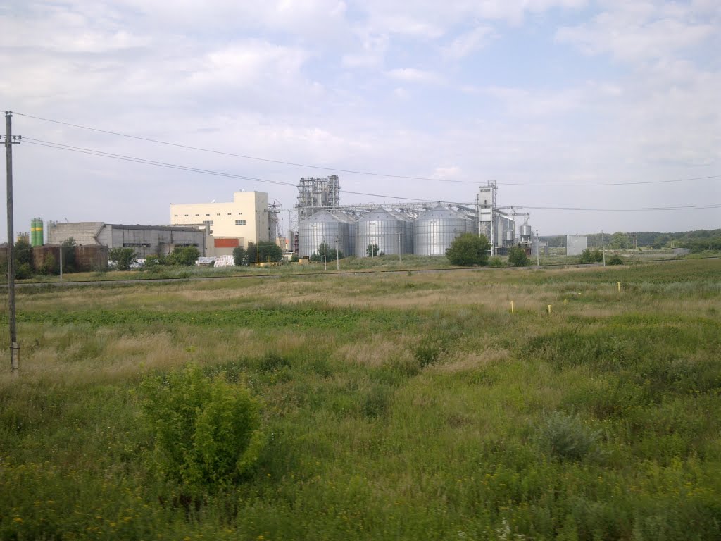 коренево пивзавод