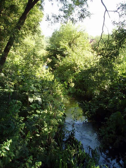 Kur river