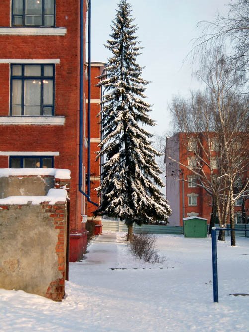 School 32 in December