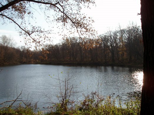 Roun pond