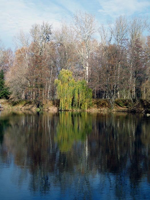 Roun pond, another side