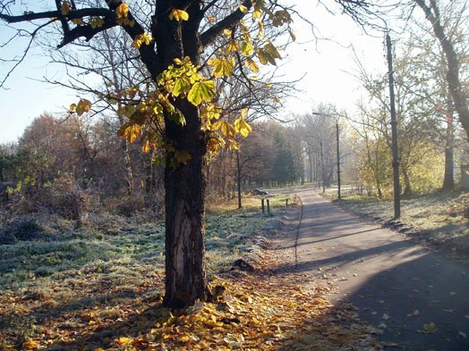 Dachnaya Street