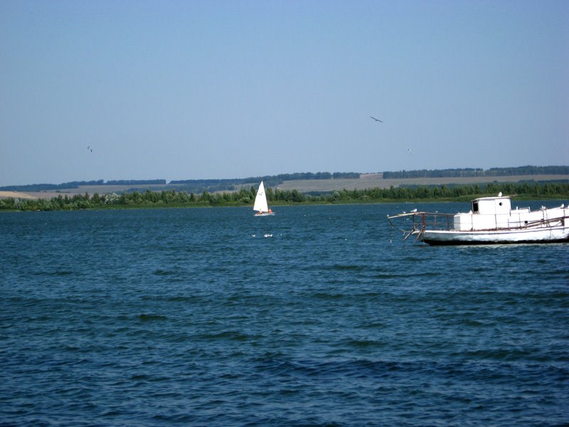 Kurchatov sea