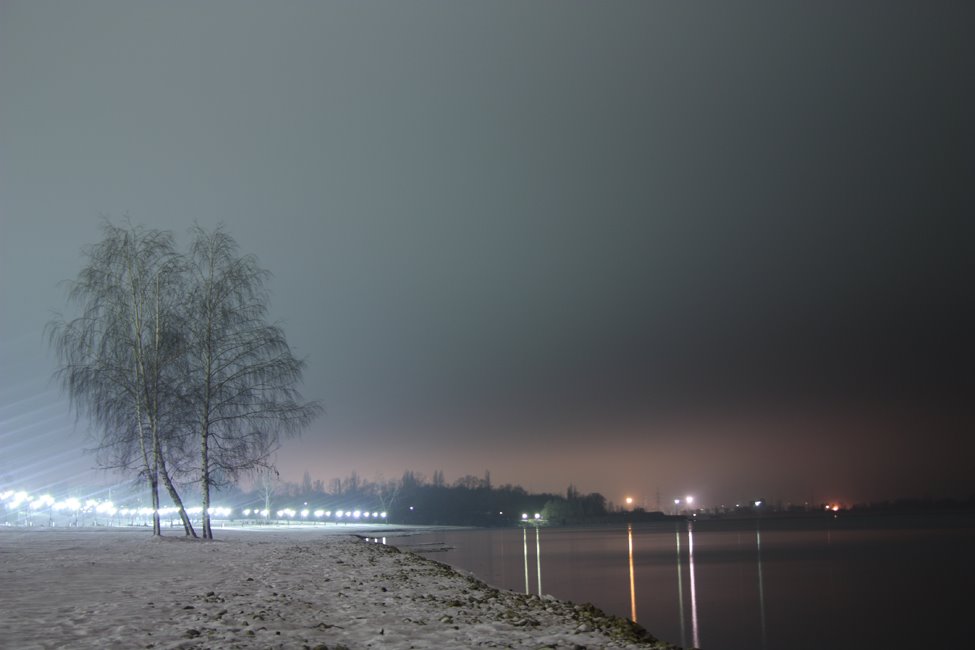 Night tree