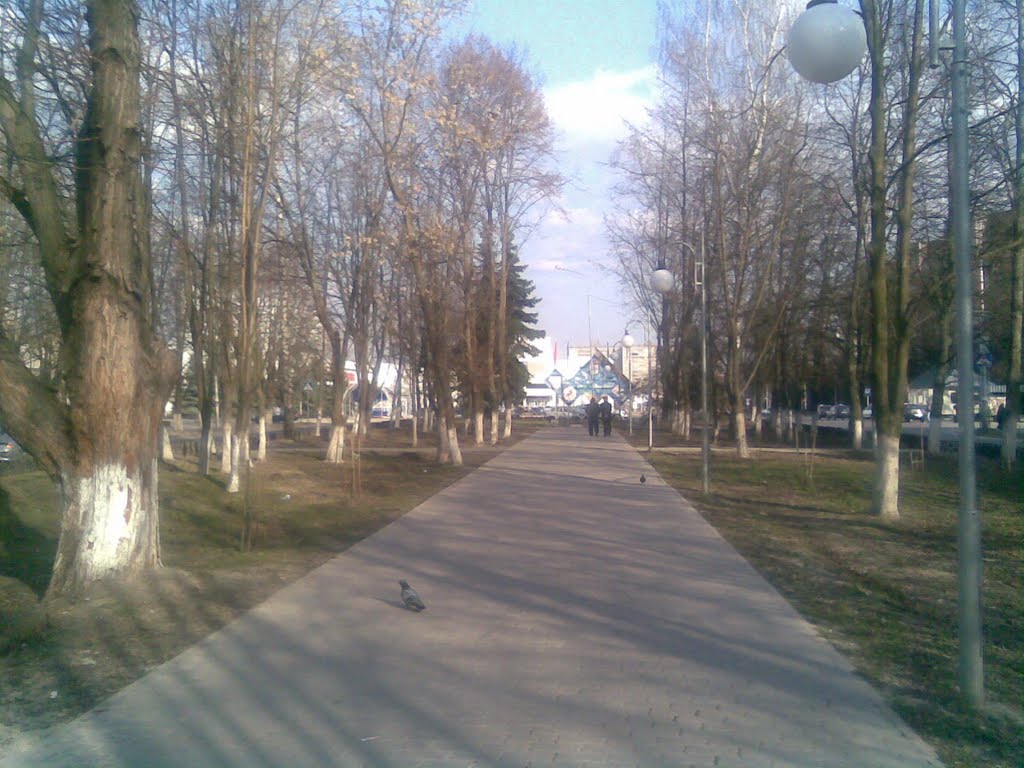 Аллея, на проспекте Комунистическом - г.Курчатов - (вид на площадь И.В. Курчатова)