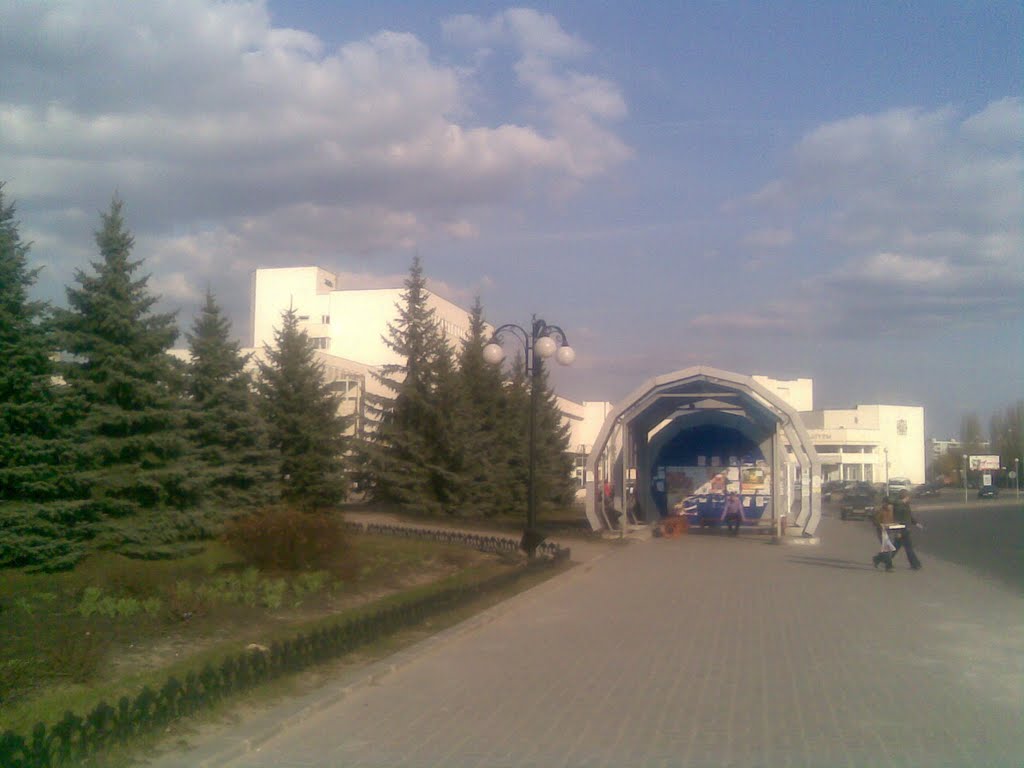 площадь И.В. Курчатова - остановка